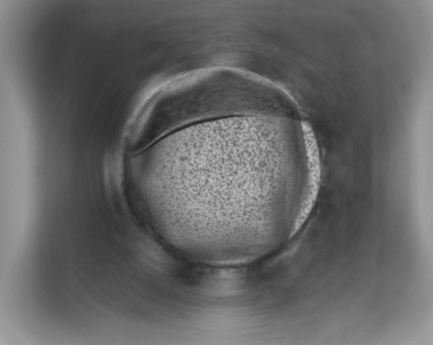 X0000111500056200908041210