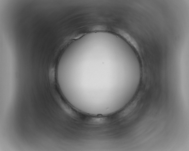 X0000111500057200908041211