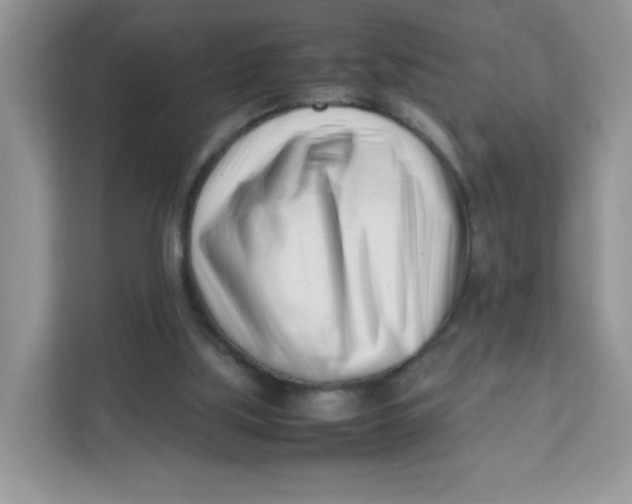 X0000111500059200908041211