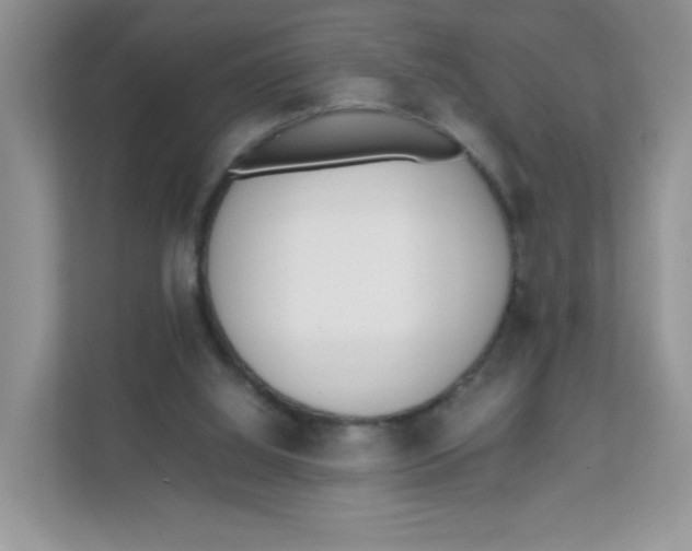 X0000111500060200908041211