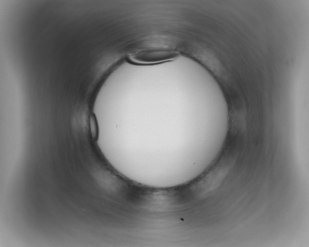 X0000111500064200908041211