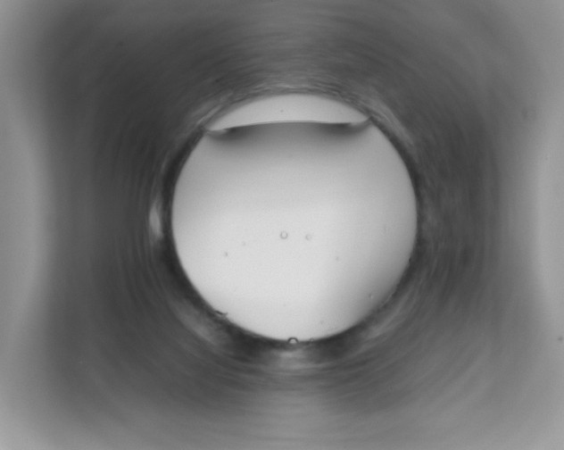 X0000111500068200908041211