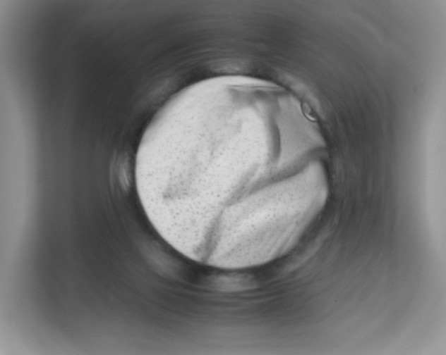 X0000111500069200908041211