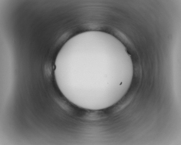 X0000111500072200908041211