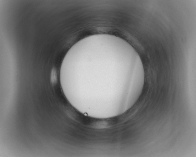 X0000111500075200908041211