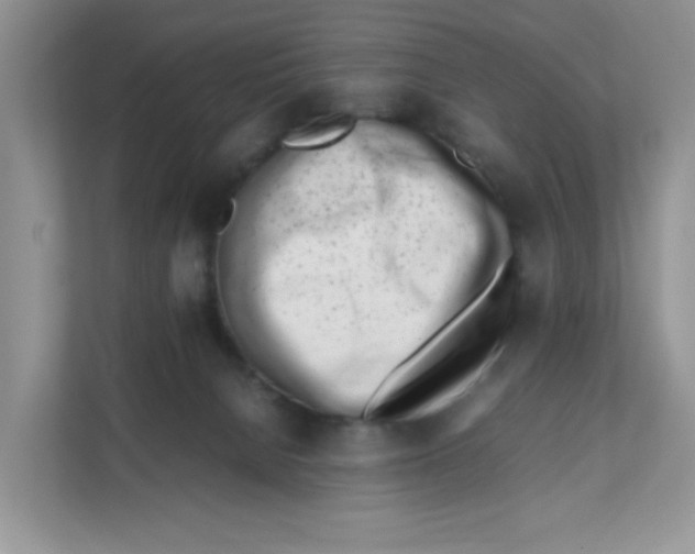 X0000111500080200908041211