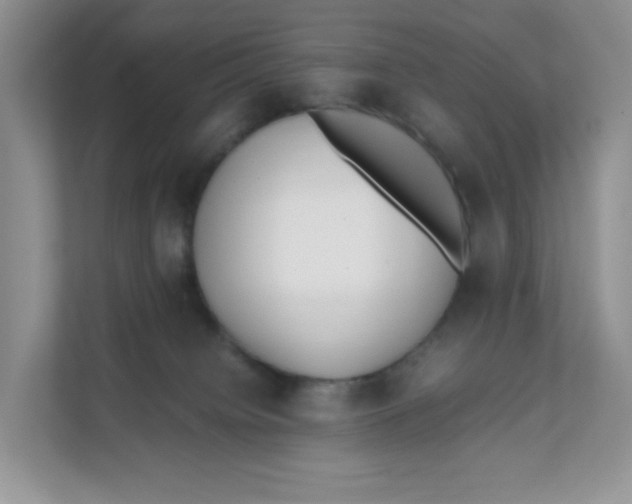 X0000111500084200908041211