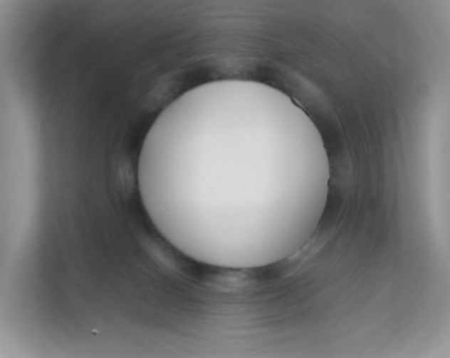 X0000111500086200908041211