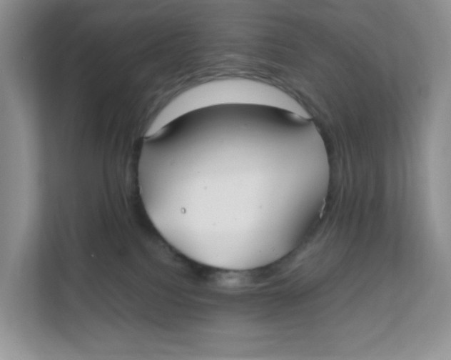 X0000111500088200908041211