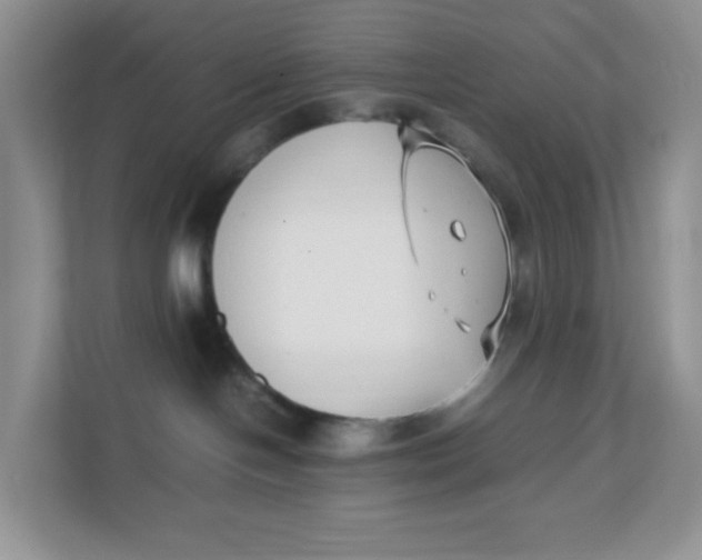 X0000111500094200908041211