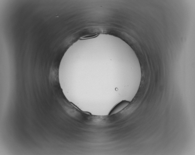 X0000111500096200908041211