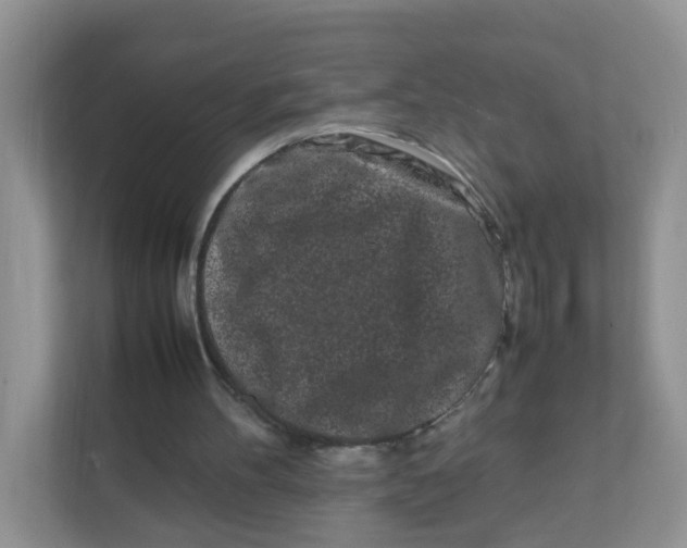 X0000111500100200908041210