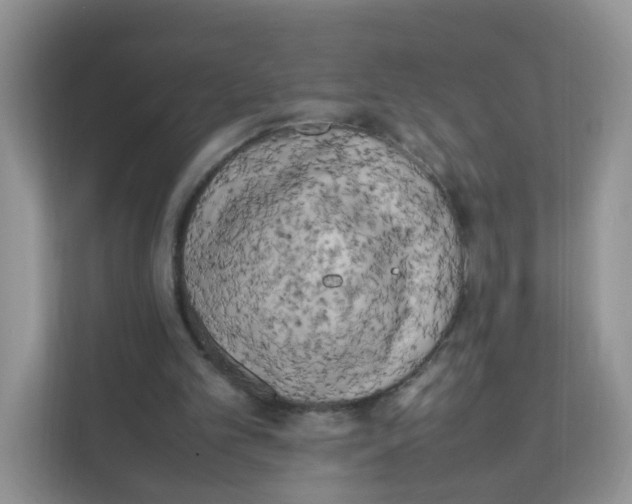 X0000111500101200908041210