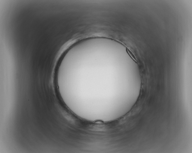 X0000111500104200908041210