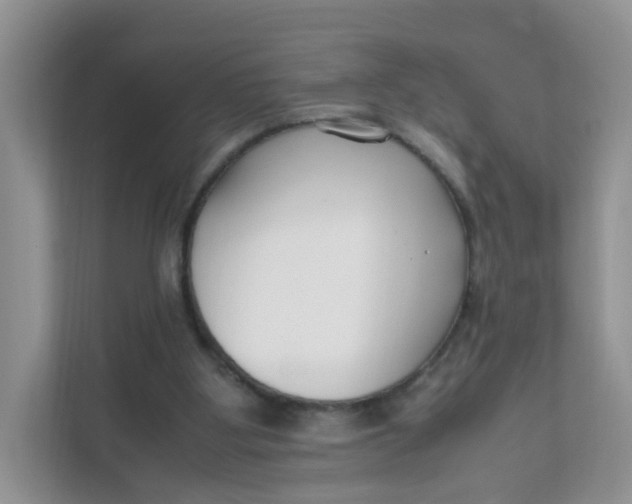 X0000111500107200908041210