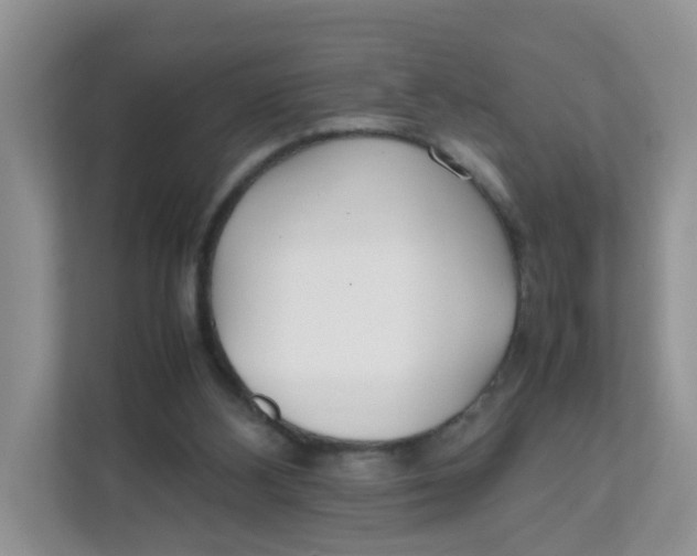 X0000111500108200908041210