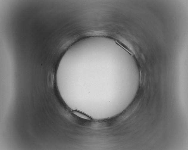 X0000111500109200908041210