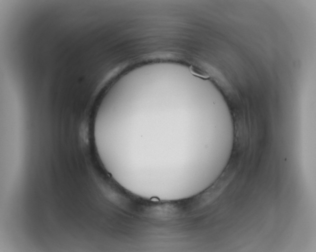 X0000111500112200908041210