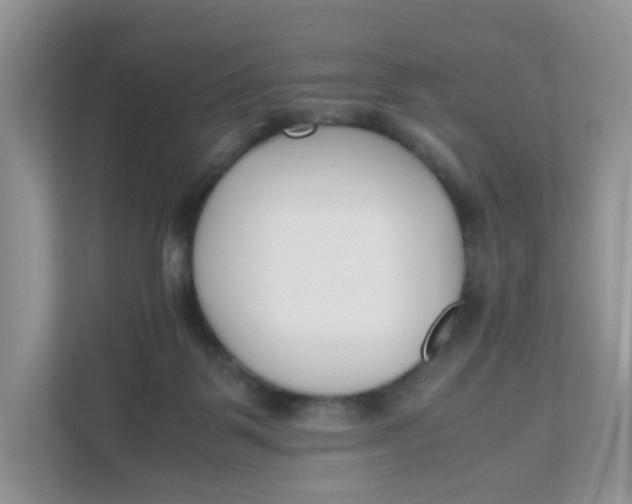 X0000111500123200908041210