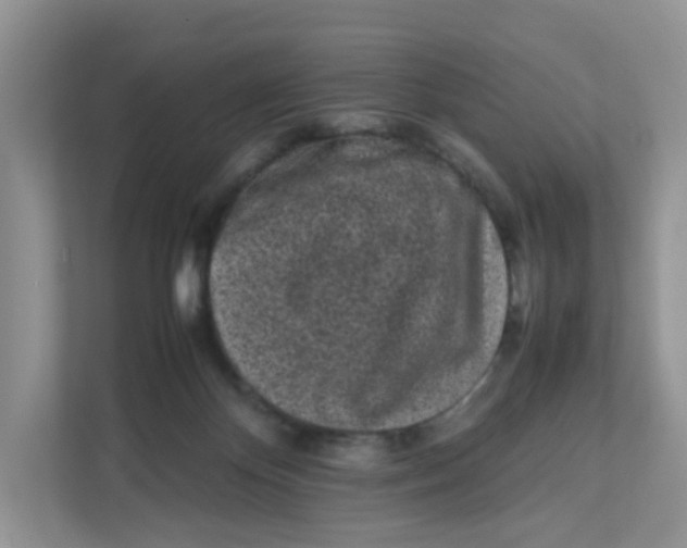 X0000111500124200908041210