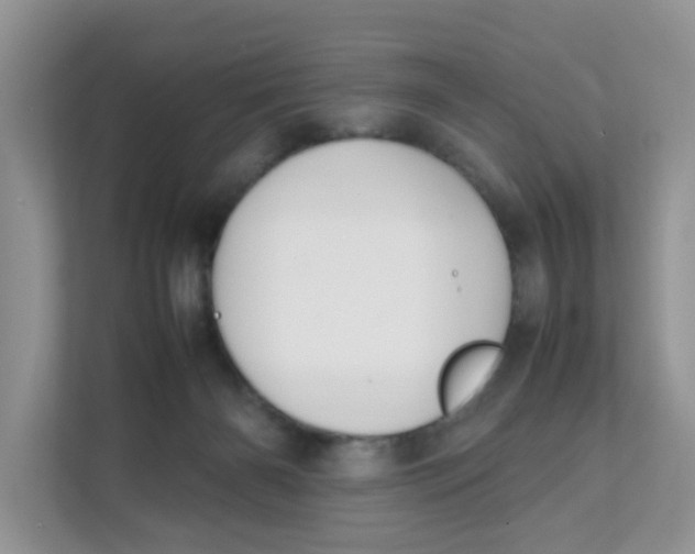 X0000111500126200908041210