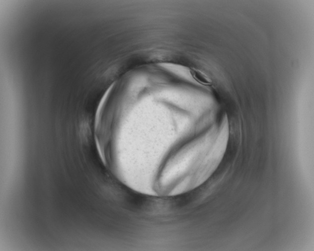 X0000111500127200908041210