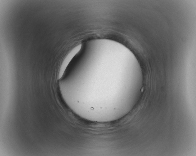 X0000111500129200908041210