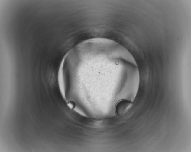 X0000111500130200908041210