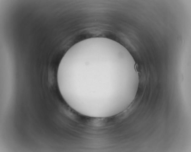 X0000111500136200908041210