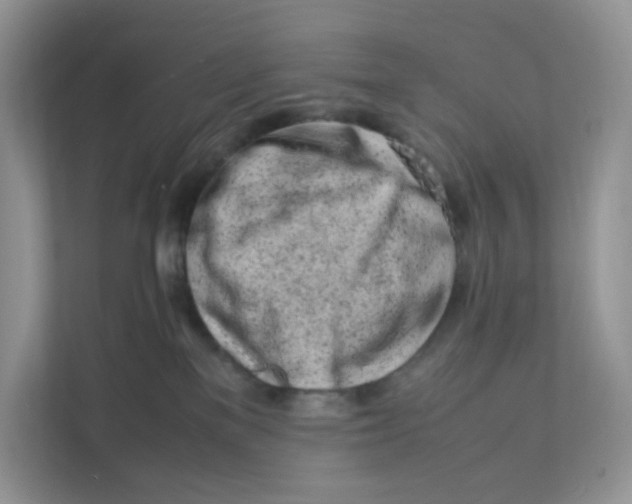 X0000111500137200908041210