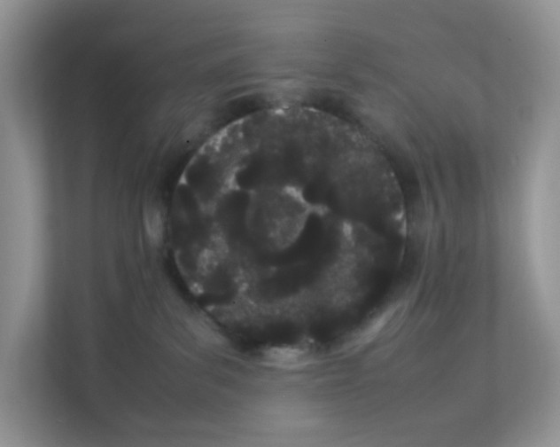 X0000111500139200908041210