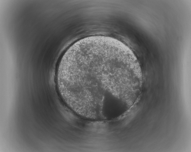 X0000111500146200908041209