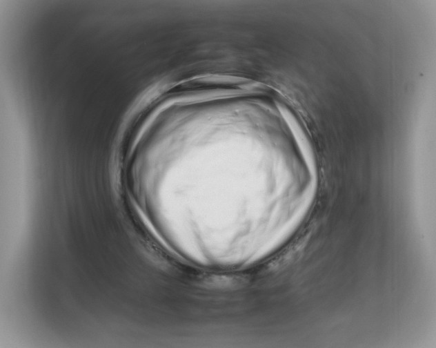 X0000111500149200908041209