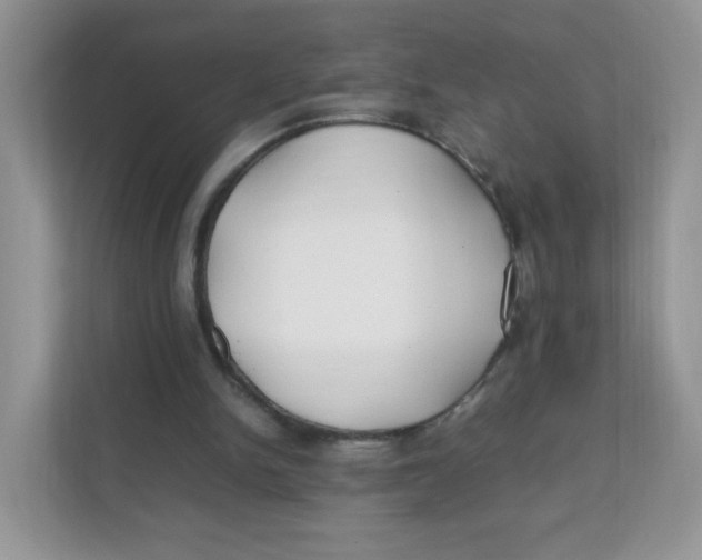 X0000111500150200908041209