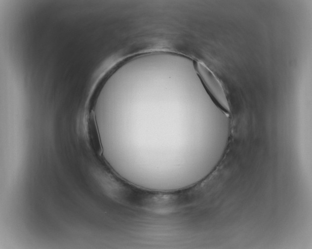 X0000111500152200908041209