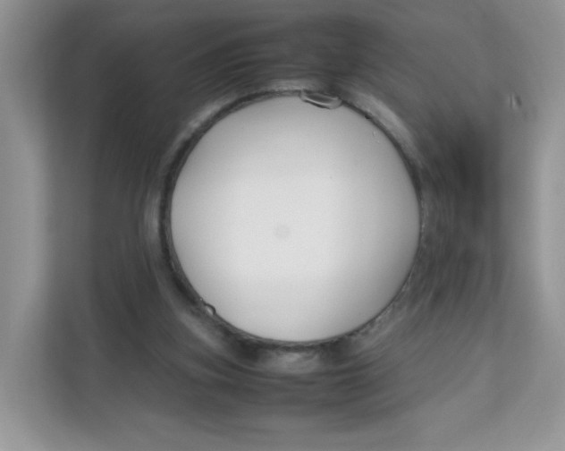 X0000111500155200908041209