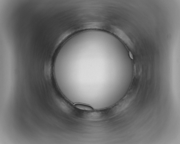 X0000111500156200908041209