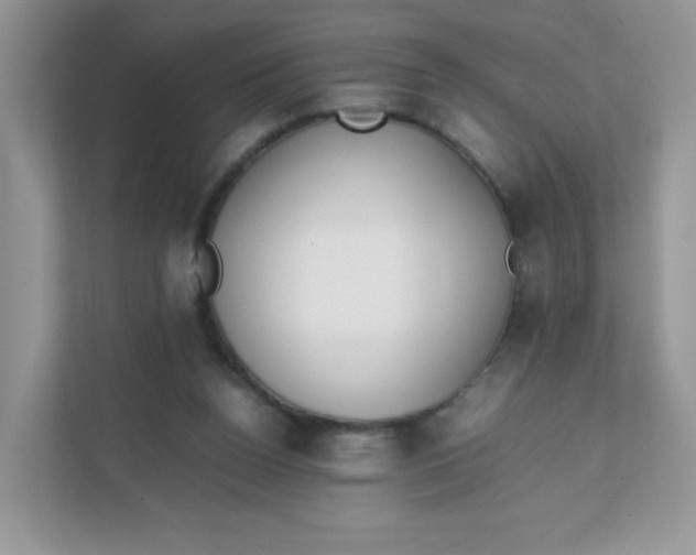 X0000111500160200908041209