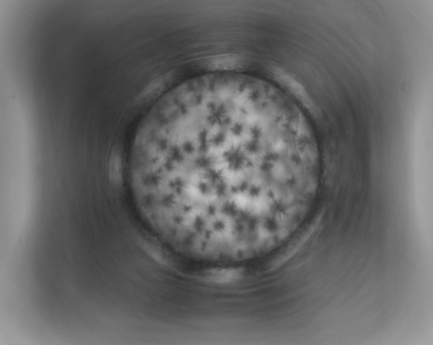 X0000111500161200908041209