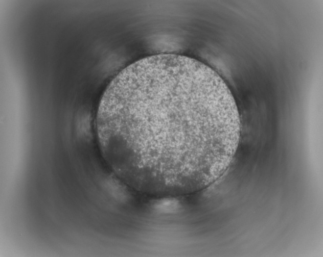 X0000111500162200908041209