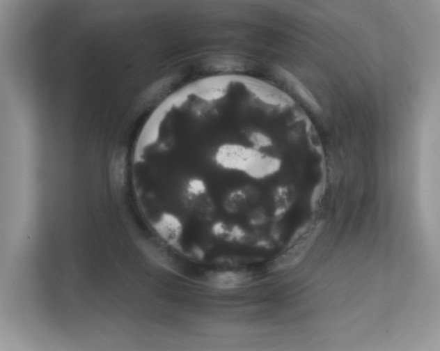 X0000111500163200908041209