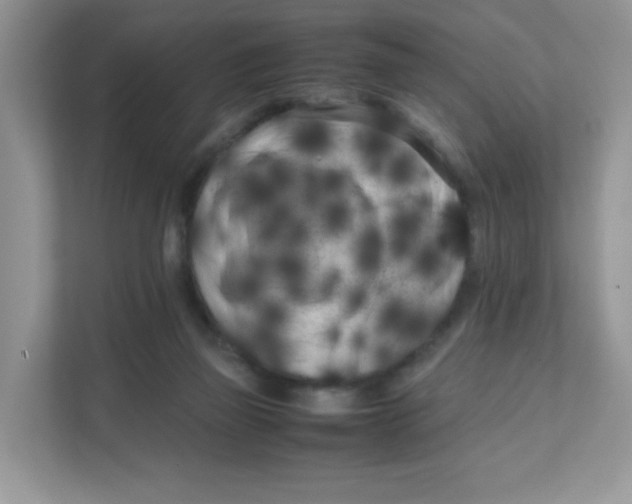 X0000111500165200908041209