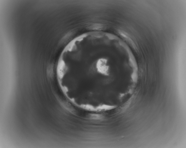 X0000111500167200908041209