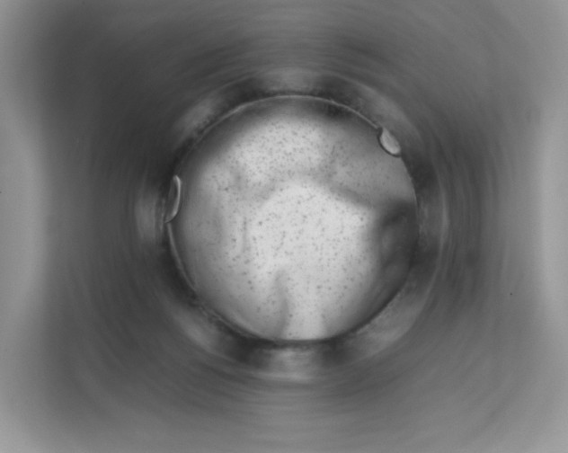 X0000111500168200908041209