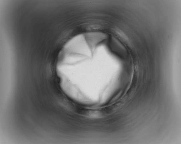 X0000111500169200908041209