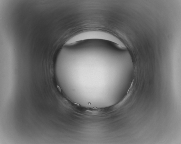 X0000111500170200908041209