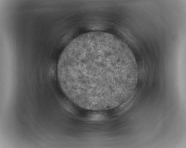 X0000111500175200908041210