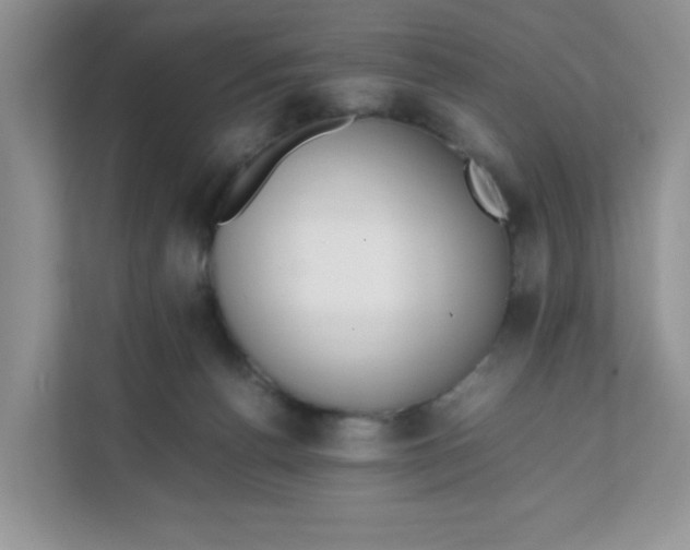 X0000111500176200908041210