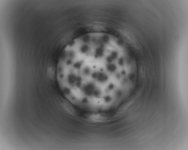 X0000111500177200908041210