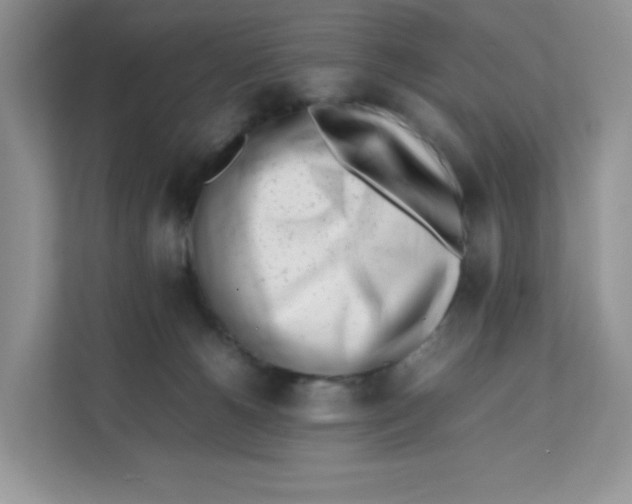 X0000111500180200908041210